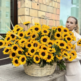  Kemer Çiçekçiler 101 Adet Ay çiçeği Sepet Arajman xxl