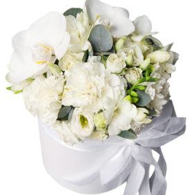 Kemer Çiçekçi Beyaz Güzellik Orkide Lisyantus Arajman