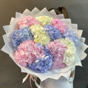  Kemer Çiçek Gönder 13 Adet Ortanca Buket beyaz pembe mavi