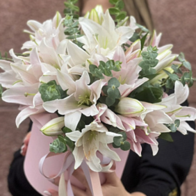 Kemer Çiçekçi Beyaz Kazablanka Arajman 