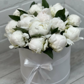  Kemer Flower Delivery 15 White Peonies White Box Arrangement