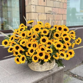  Kemer Çiçekçiler 101 Adet Ay çiçeği Sepet Arajman xxl