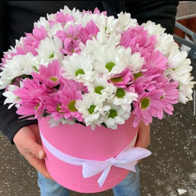  Kemer  Çiçek Beyaz Ve pembe krizantem papatya  Kutu Aranjman