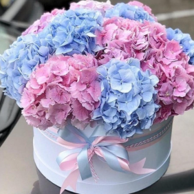  Kemer Çiçek Gönder Mavi & Pembe Ortanca Arajman