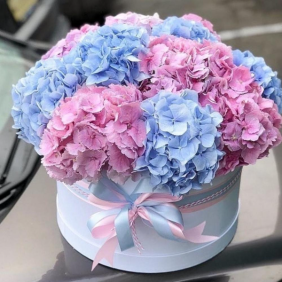  Kemer Çiçek Gönder Mavi & Pembe Ortanca Arajman